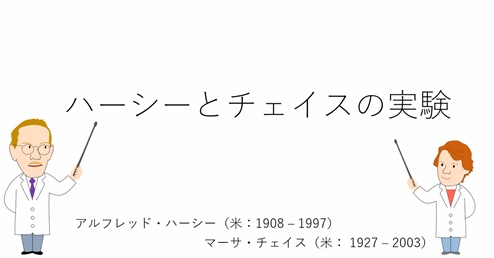 ③ハーシーとチェイスの実験（仮想実験教材）