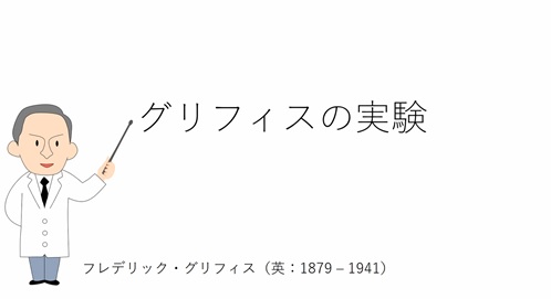 ①グリフィスの実験（仮想実験教材）