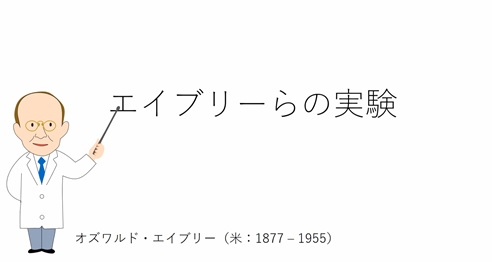 ②エイブリーらの実験（仮想実験教材）