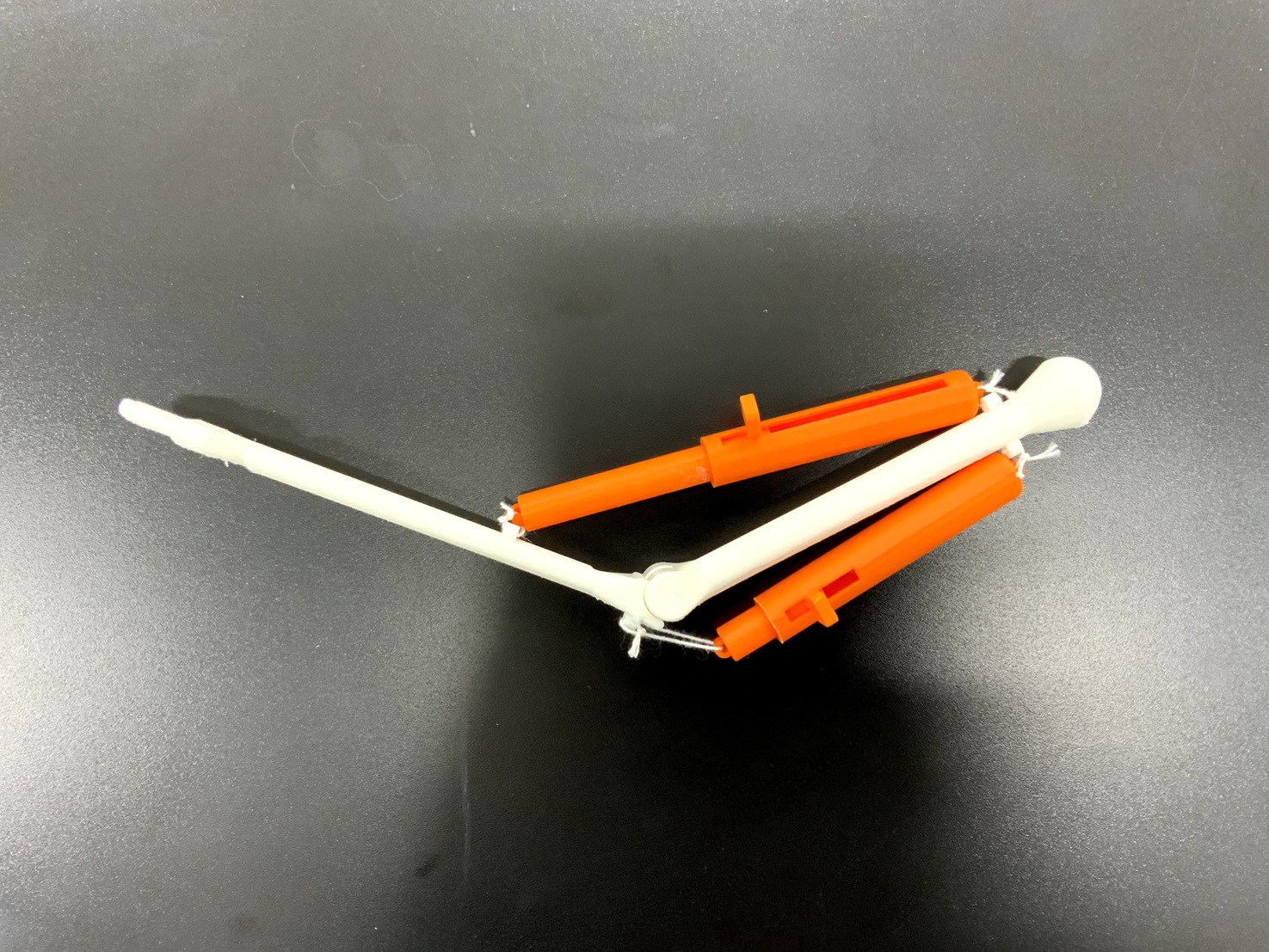 腕曲げ伸ばしモデルの使い方